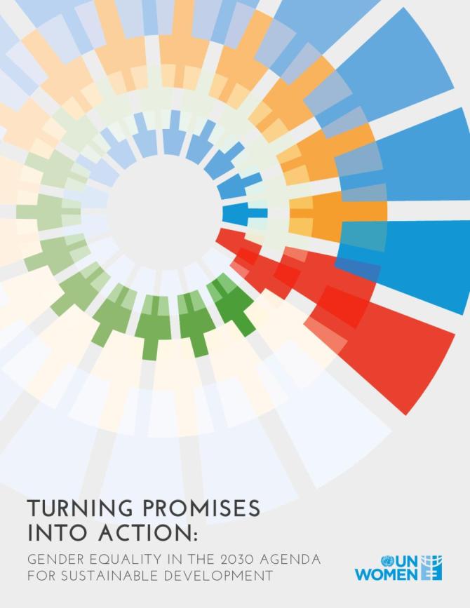 Turning Promises into Action: Gender Equality in the 2030 Agenda for Sustainable Development