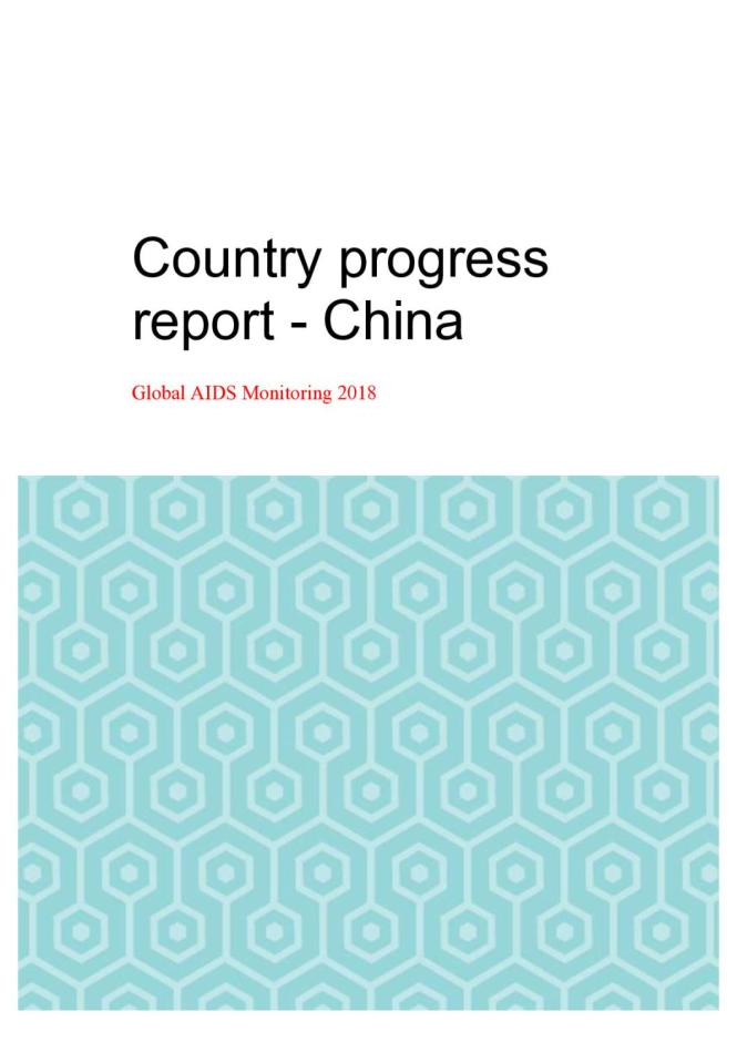 Country Progress Report - China