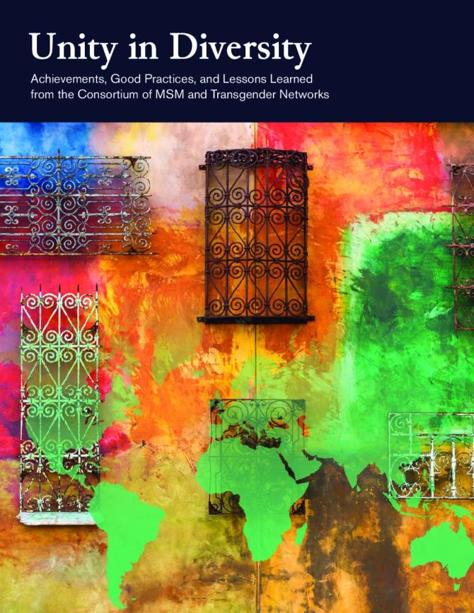 Unity in Diversity: Achievements, Good Practices, and Lessons Learned from the Consortium of MSM and Transgender Networks