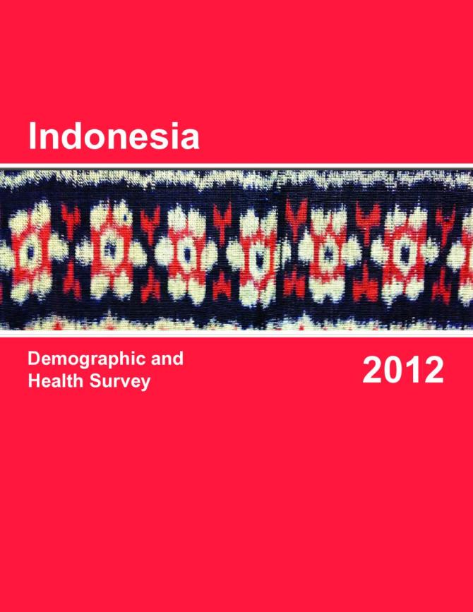 Indonesia: Demographic and Health Survey 2012
