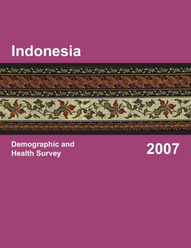 Indonesia: Demographic and Health Survey 2007