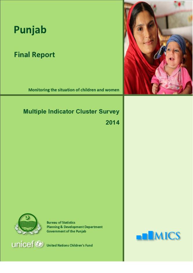Punjab: Multiple Indicator Cluster Survey 2014, Final Report