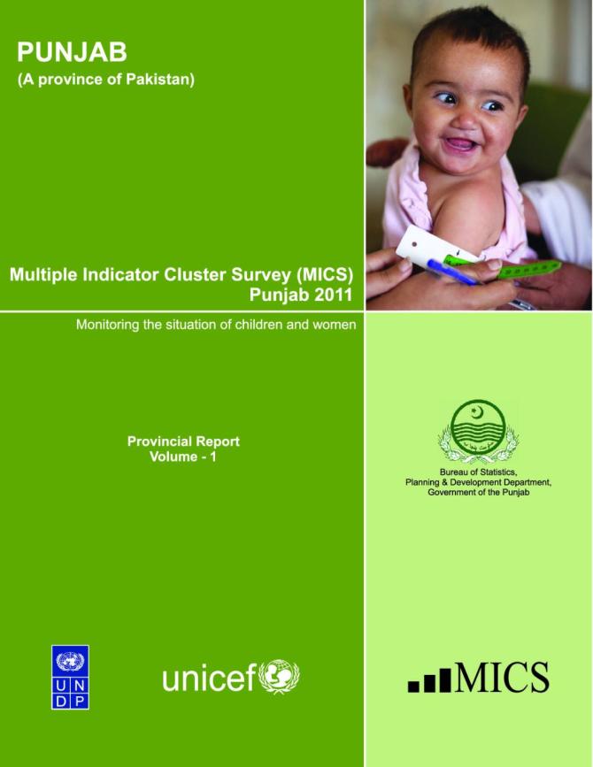 Pakistan: Multiple Indicator Cluster Survey, Punjab 2011