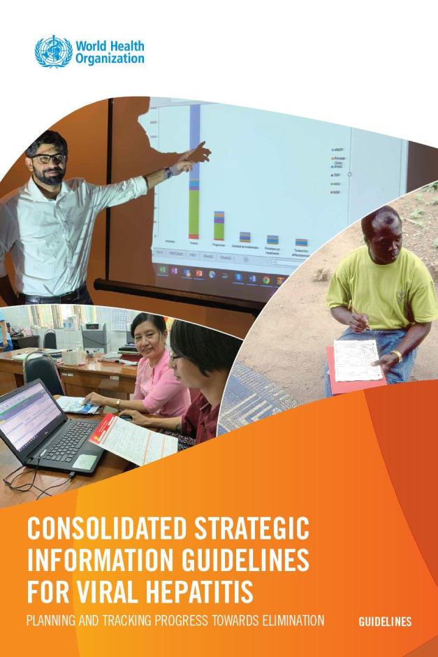 Consolidated Strategic Information Guidelines for Viral Hepatitis: Planning and Tracking Progress towards Elimination