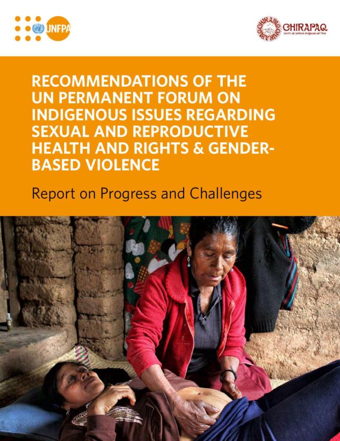 Recommendations of the UN Permanent Forum on Indigenous Issues Regarding Sexual and Reproductive Health and Rights and Gender-based Violence