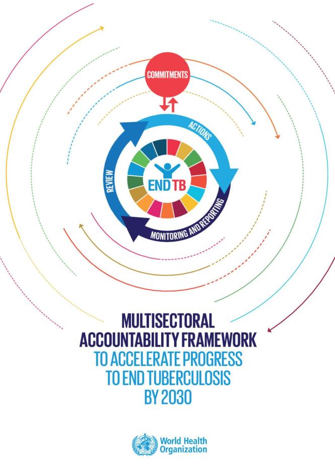 Multisectoral Accountability Framework to Accelerate Progress to End Tuberculosis by 2030