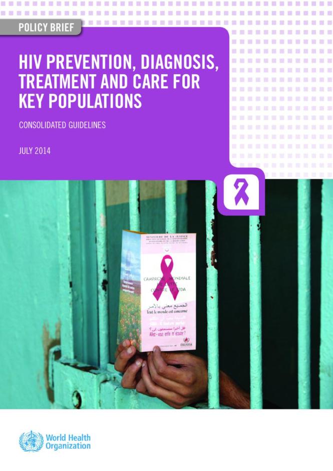 Policy Brief: Consolidated Guidelines on HIV Prevention, Diagnosis, Treatment and Care for Key Populations