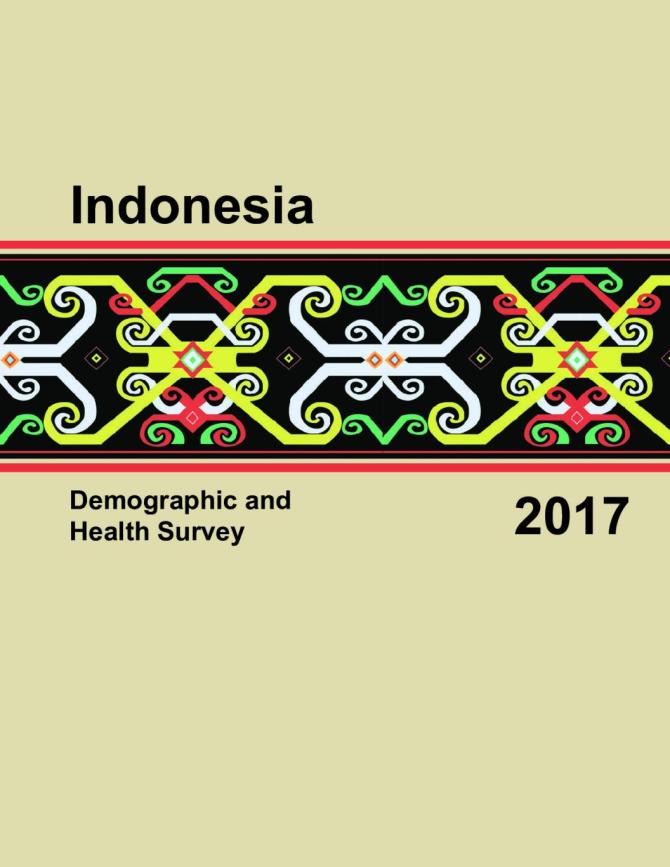 Indonesia Demographic and Health Survey 2017