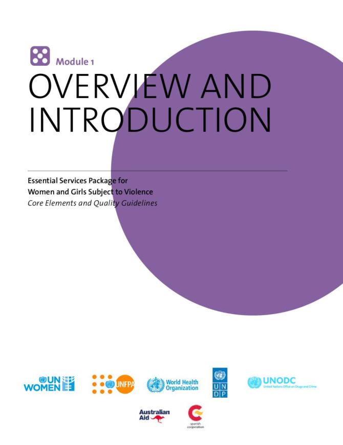 Essential Services Package for Women and Girls Subject to Violence