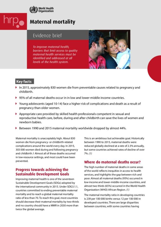  Evidence Brief - Maternal Mortality