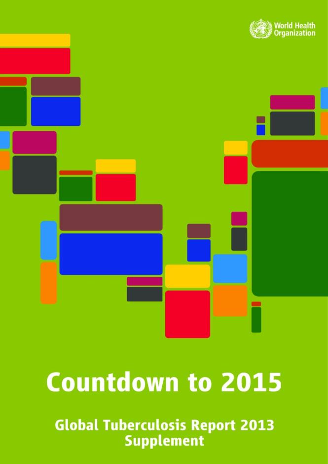 Countdown to 2015: Global Tuberculosis Report 2013 Supplement