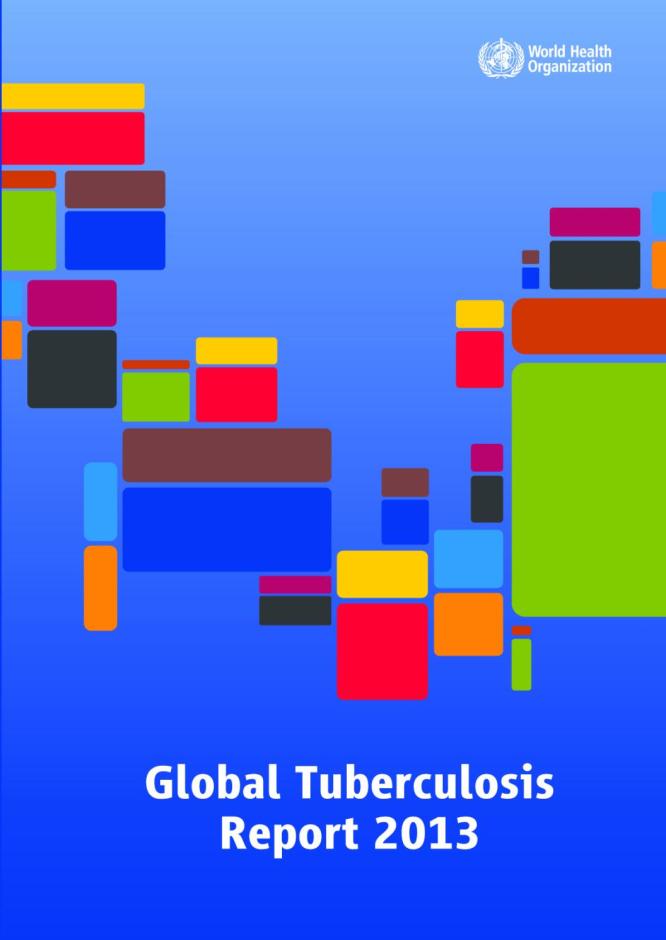 Global Tuberculosis Report 2013
