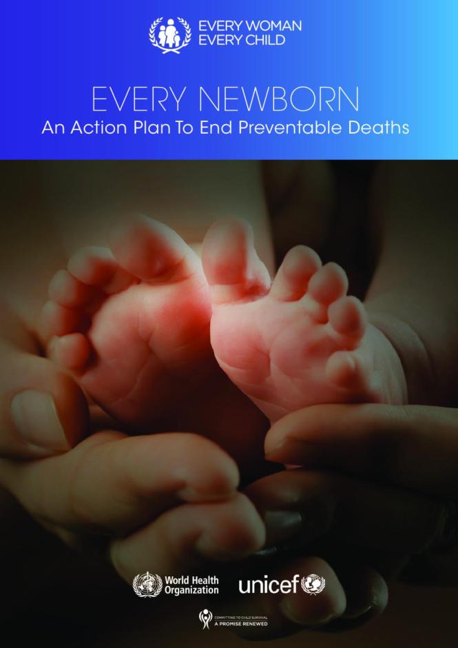 Every Newborn: An Action Plan to End Preventable Deaths