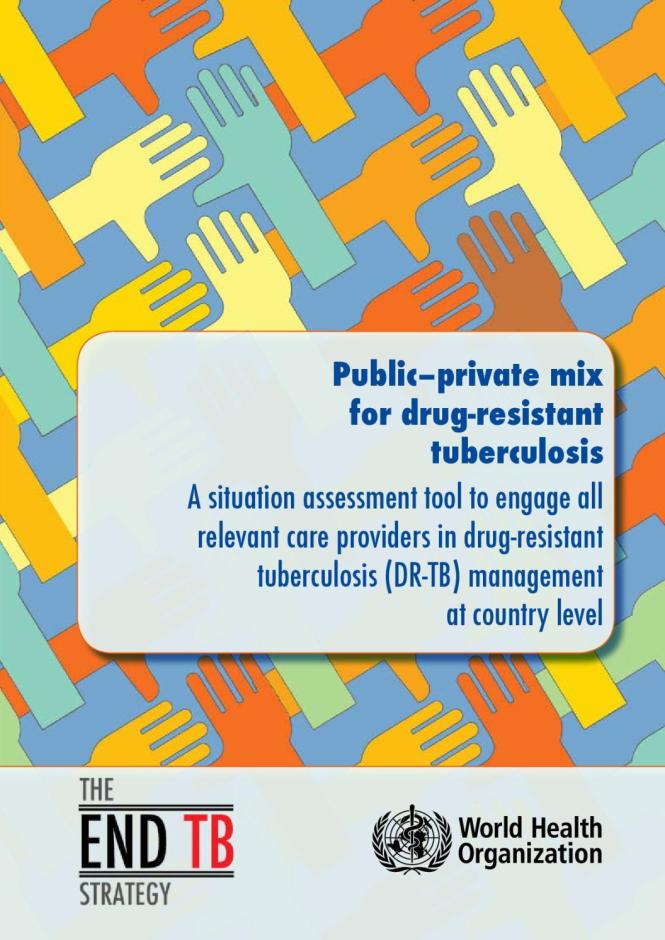 A Situation Assessment Tool to Engage all Relevant Care Providers in Drug-resistant Tuberculosis (DR-TB) Management at Country Level