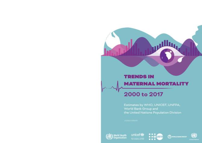 Trends in Maternal Mortality 2000 to 2017