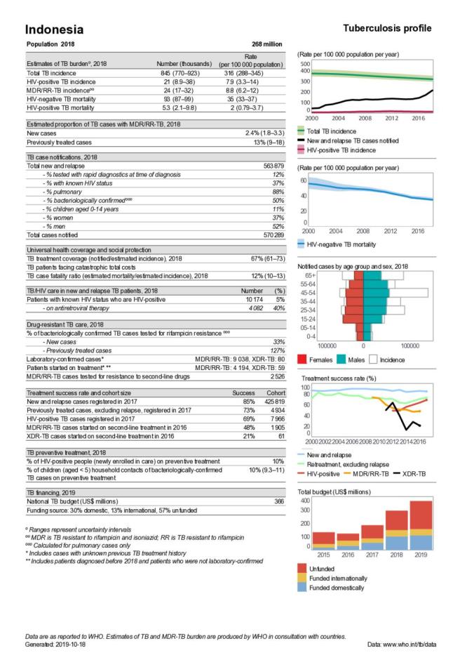 Indonesia Tuberculosis Country Profile 2019