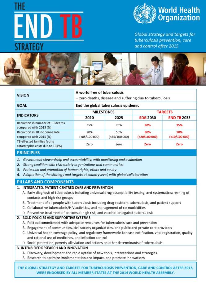 The End TB Strategy
