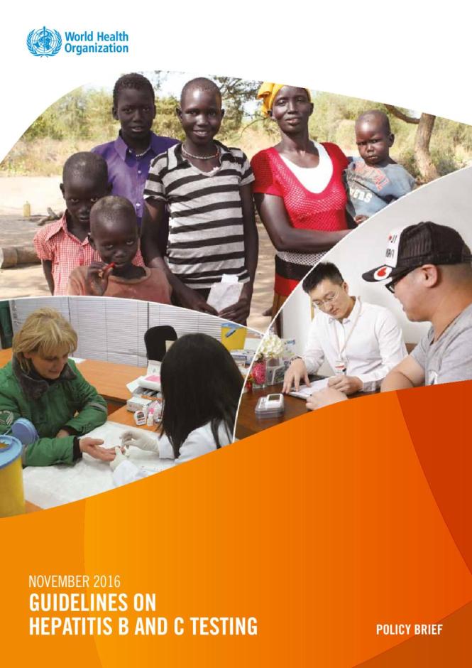 Guidelines on Hepatitis B and C Testing