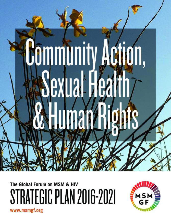 Community Action, Sexual Health and Human Rights: The Global Forum on MSM & HIV Strategic Plan 2016-2021