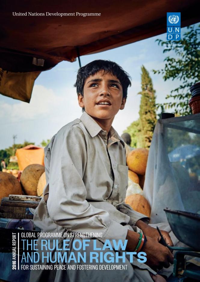 2016 Global Programme Annual Report