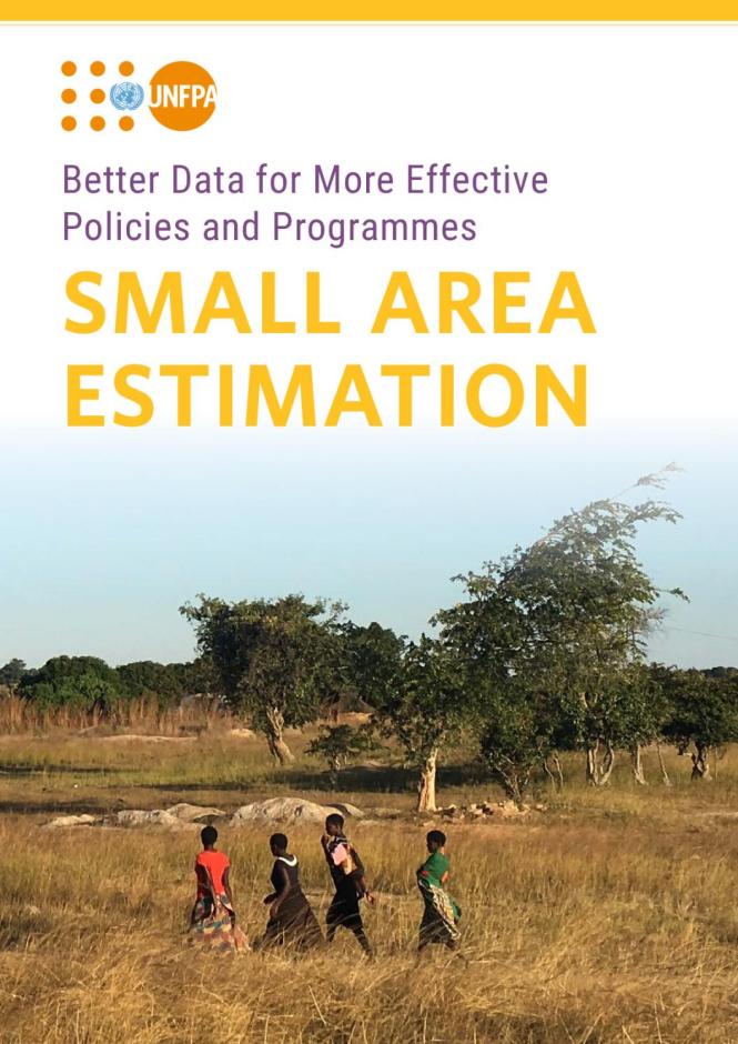 Better Data for More Effective Policies and Programmes - Small Area Estimation