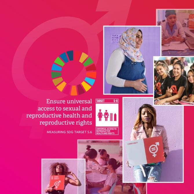 Ensure Universal Access to Sexual and Reproductive Health and Reproductive Rights. UNFPA. (2020)