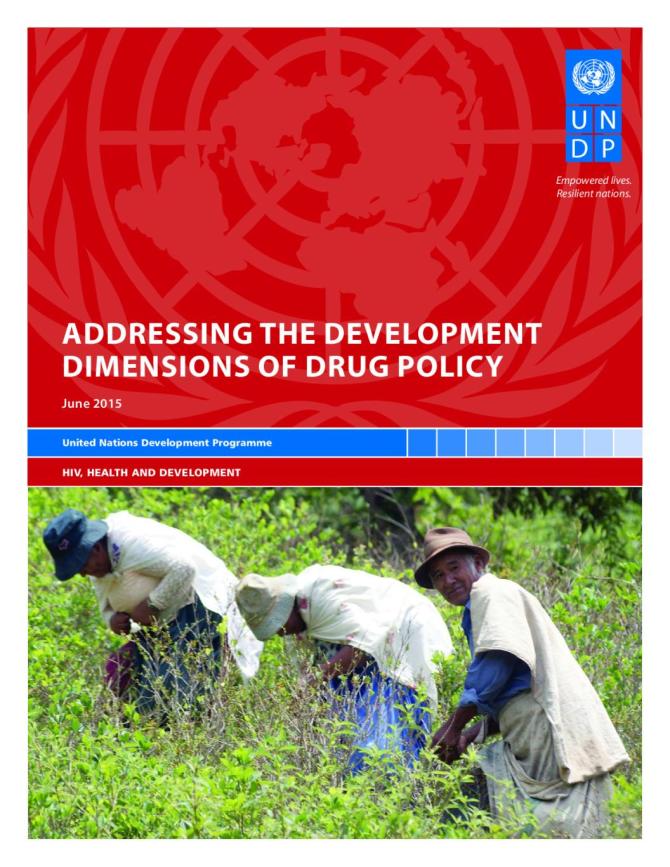 Addressing the Development Dimensions of Drug Policy