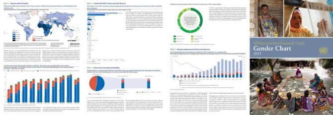 MDGs Gender Chart 2015