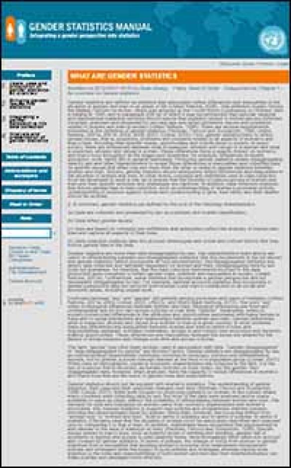 Gender Statistics Manual: Integrating a Gender Perspective into Statistics