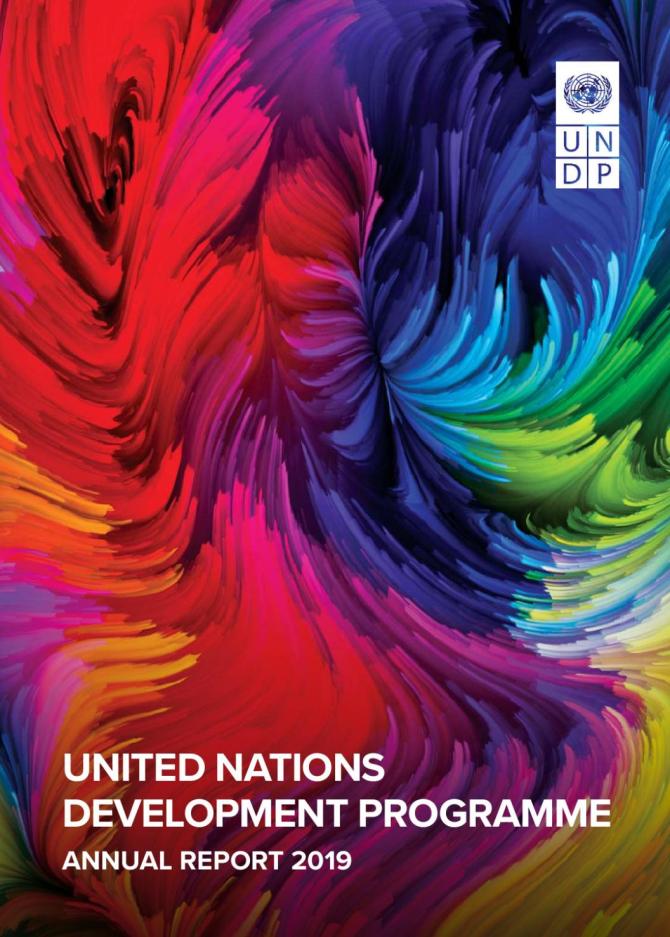 Annual Report 2019. UNDP. (2020)