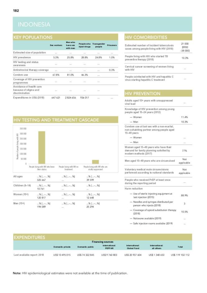 Indonesia Country Snapshot 2020