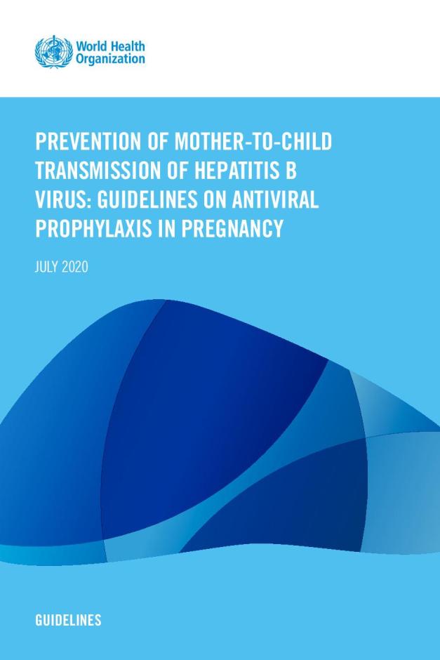 Prevention of Mother-to-child Transmission of Hepatitis B Virus: Guidelines on Antiviral Prophylaxis in Pregnancy