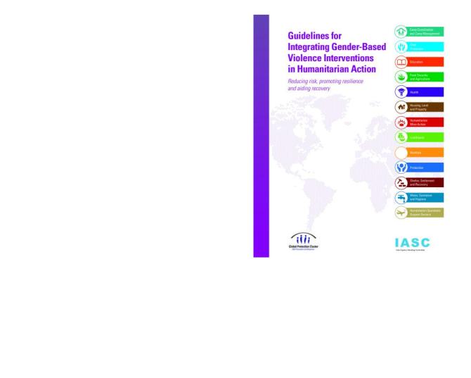 Guidelines for Integrating Gender-Based Violence Interventions in Humanitarian Action: Reducing Risk, Promoting Resilience and Aiding Recovery