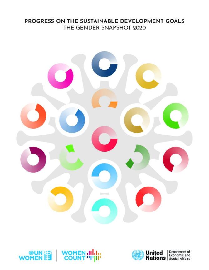 Progress on the Sustainable Development Goals: The Gender Snapshot 2020