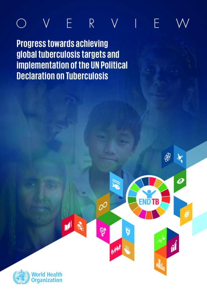 Overview: Progress towards Achieving Global Tuberculosis Targets and Implementation of the UN Political Declaration on Tuberculosis