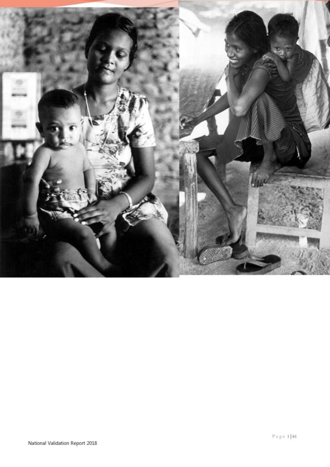 Maldives National Validation Report 2018