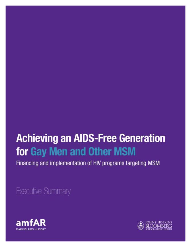 Achieving an AIDS-Free Generation for Gay Men and Other MSM: Financing and Implementation of HIV Programs Targeting MSM (Executive Summary)