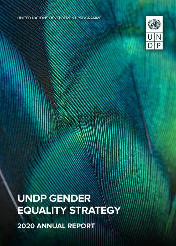 UNDP Gender Equality Strategy: 2020 Annual Report