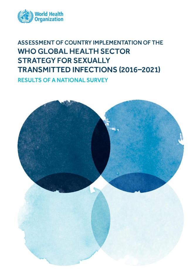 Assessment of Country Implementation of the WHO Global Health Sector Strategy for Sexually Transmitted Infections (2016–2021): Results of a National Survey