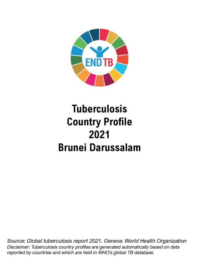 Brunei Darussalam Tuberculosis Country Profile 2021