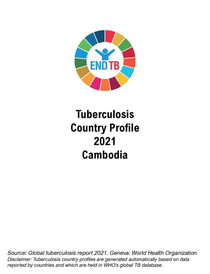 Cambodia Tuberculosis Country Profile 2021