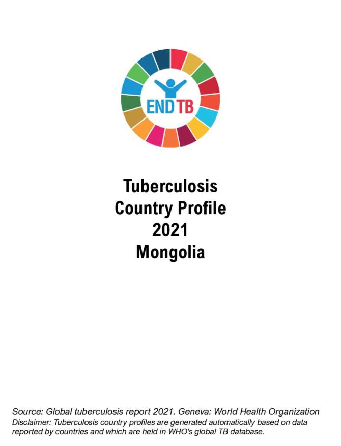 Mongolia Tuberculosis Country Profile 2021