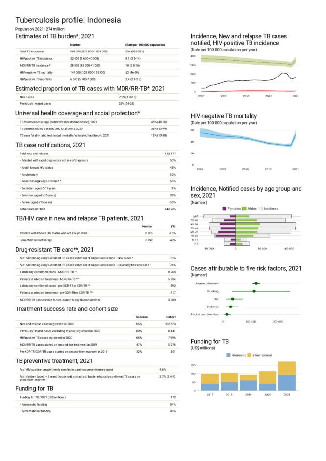 Indonesia Tuberculosis Country Profile 2022