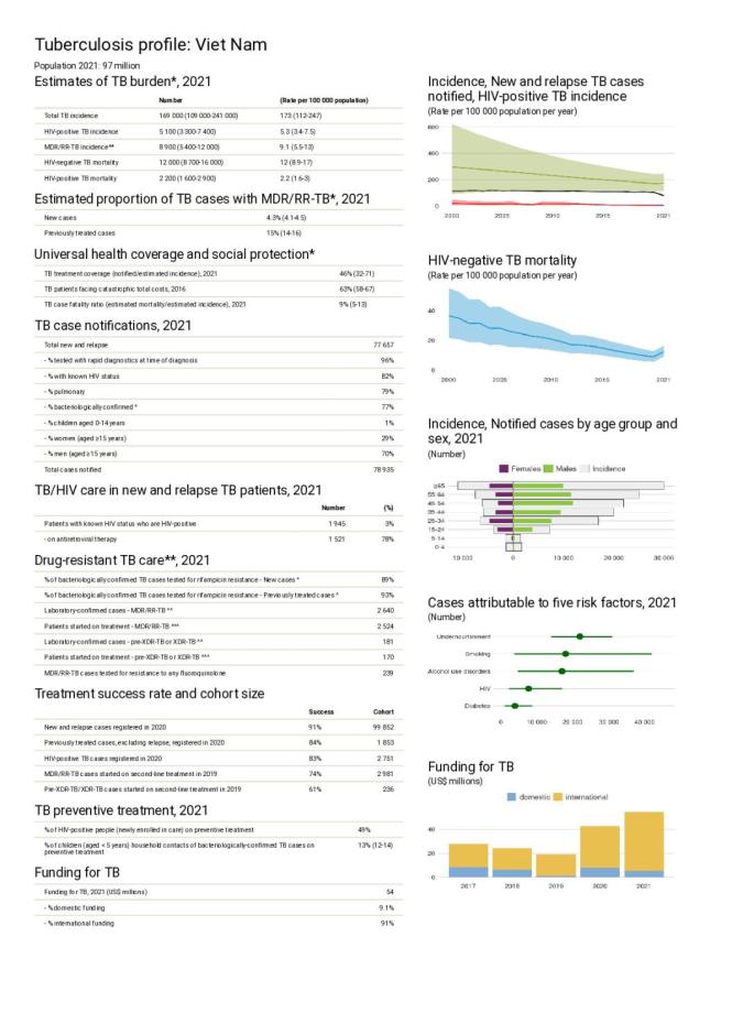 Viet Nam Tuberculosis Country Profile 2022